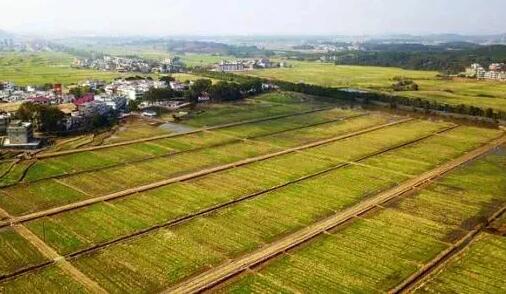 福建長泰2460畝高標準農(nóng)田建設(shè)即將完工